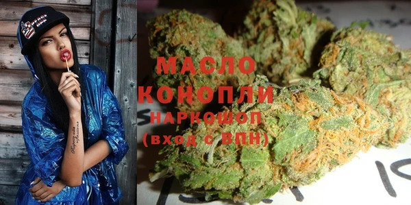 молекула духа Богородицк