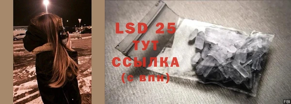 гидра Белокуриха