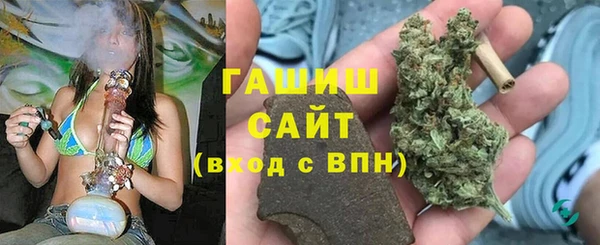 молекула духа Богородицк