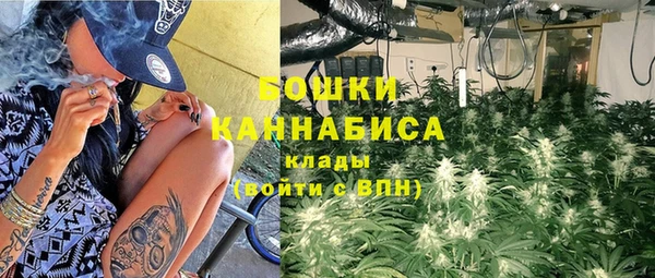 твердый Богданович