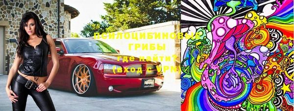 твердый Богданович