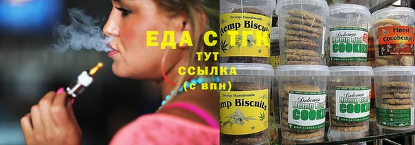 молекула духа Богородицк