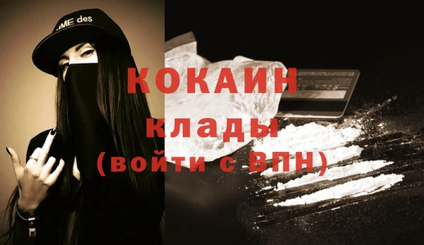 молекула духа Богородицк