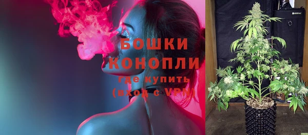 гидра Белокуриха