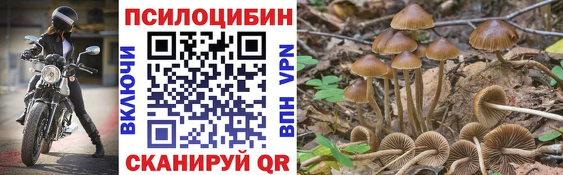 где можно купить   hydra зеркало  Галлюциногенные грибы MAGIC MUSHROOMS  Усть-Илимск 